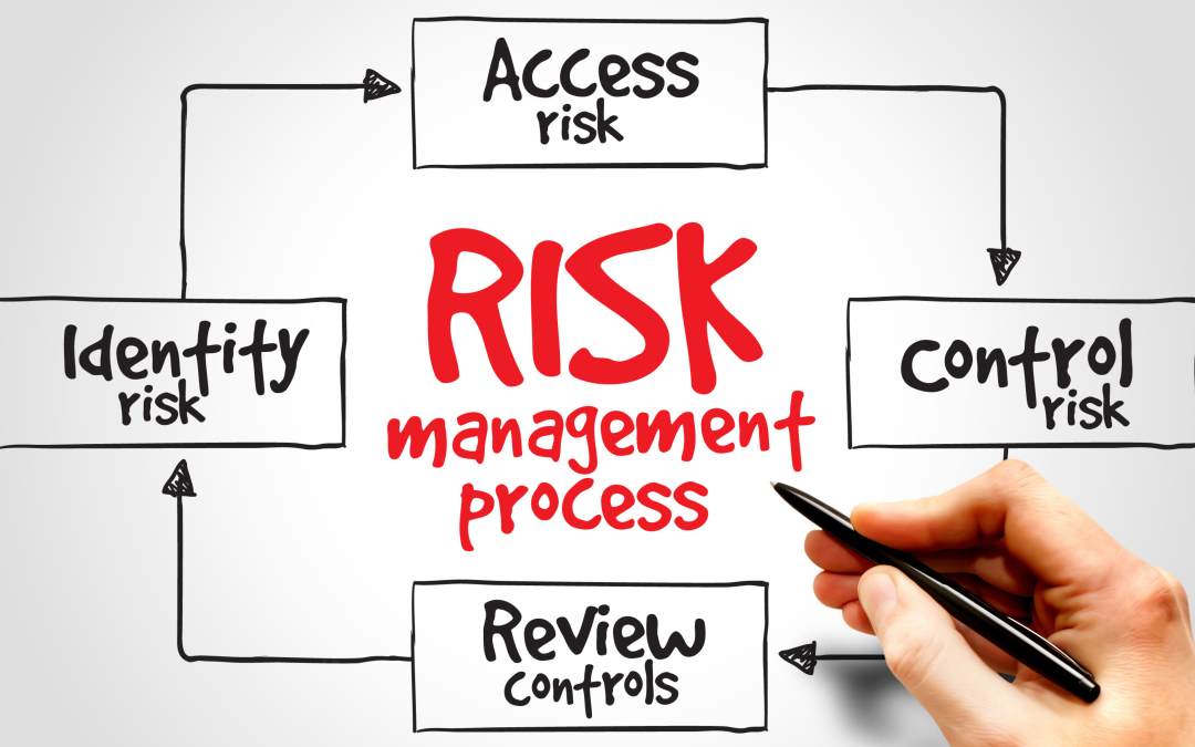 What is risk management in project management?