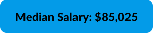 Salesforce Public Admin Salary